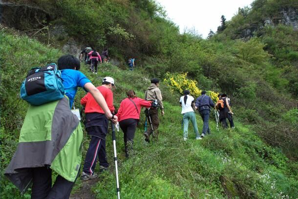 四川压印地坪厂家