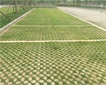 成都植草ued注册官网