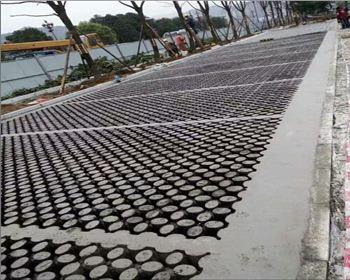 四川植草ued注册官网