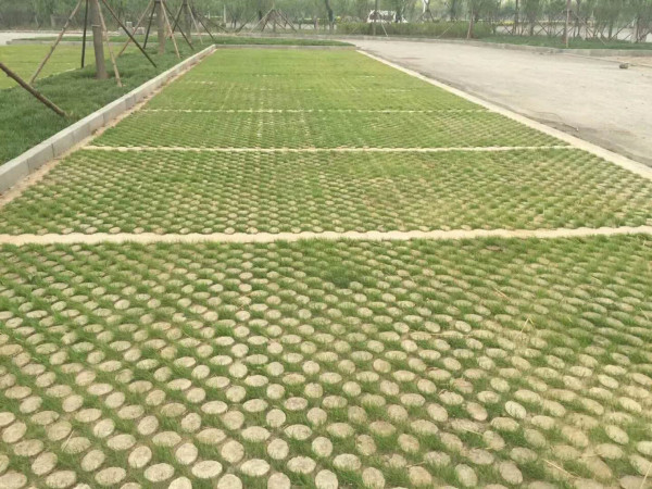 联系我们|ued注册官网