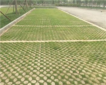 成都现浇高承载植草地坪