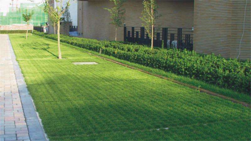 联系我们|ued注册官网