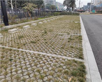 四川生态植草ued注册官网