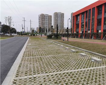 四川植草地坪安装完工效果呈现